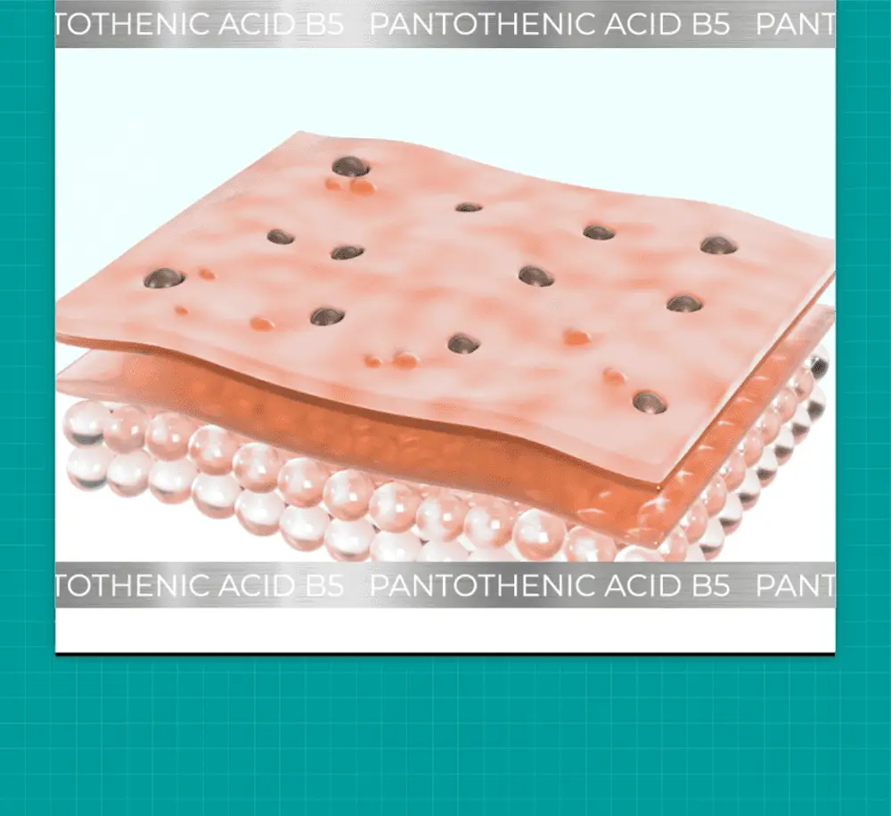[수분진정][올영단독]넘버즈인 1번 판토텐산 액티브 수딩크림 80ml 1+1 기획 상세페이지 11